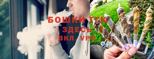 mdpv Богородск